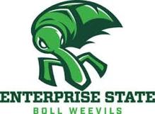 Enterprise State Logo